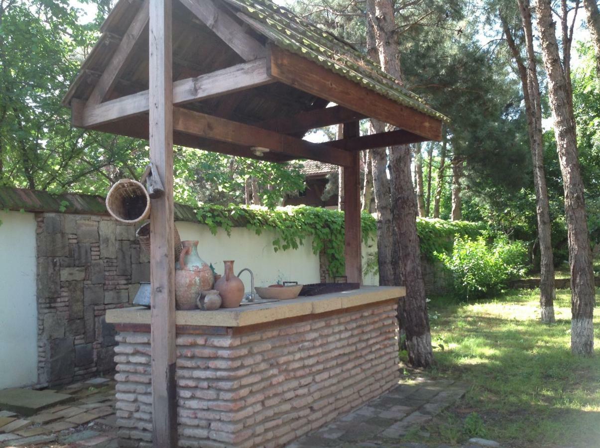 Villa Rare House With Garden à Tbilissi Extérieur photo